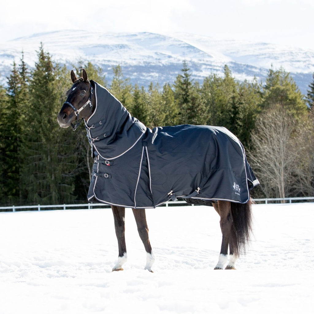 Turnout Rug with Detachable Neck Piece 250g Georgina by B Vertigo