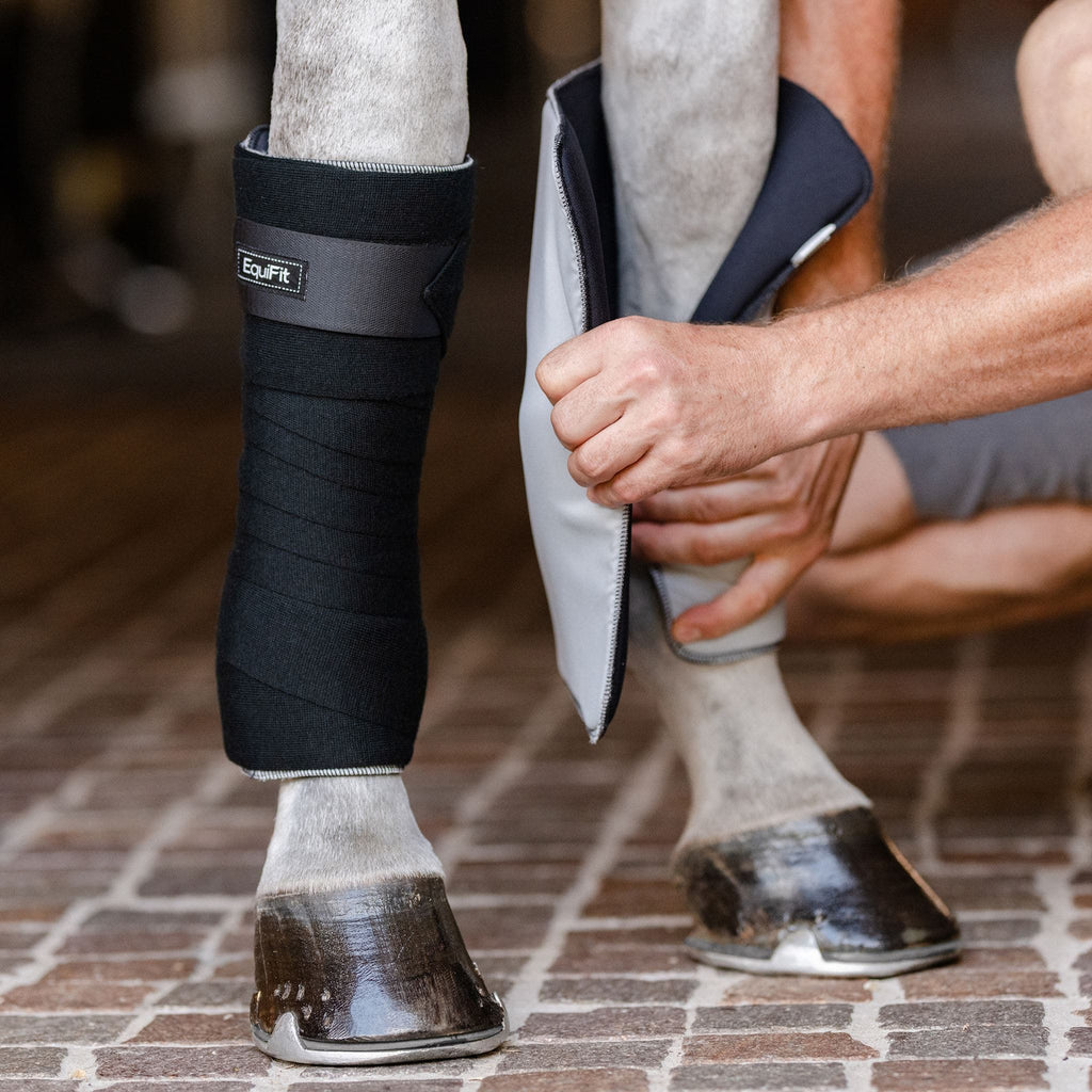 Standing Bandage by EquiFit