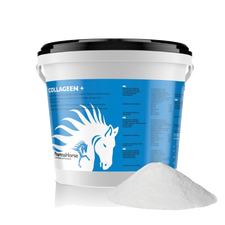 PharmaHorse Collagen +