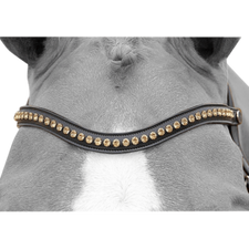 Dy'on Dressage Gold Swarovski V-Shaped Browband NE02I