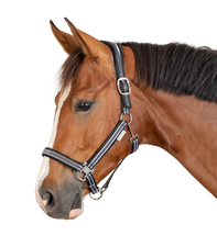 ATHLETIC HALTER by Waldhausen